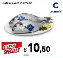 Iper La Grande Orata allevata in Croazia offerta