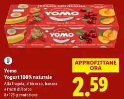 Lidl Yomo Yogurt 100% naturale offerta