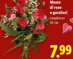 Lidl Mazzo di rose e garofani offerta