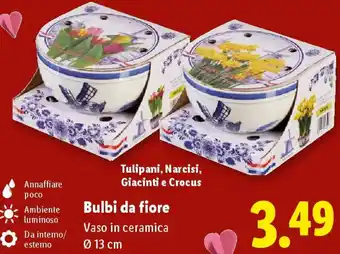 Bulbi da fiore