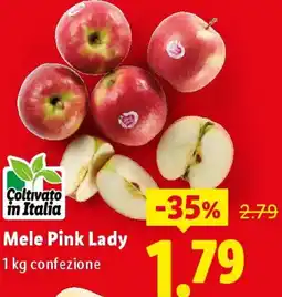 Lidl Mele Pink Lady offerta