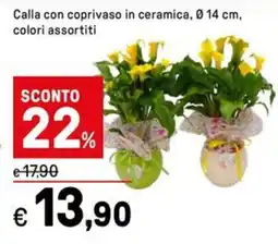 Iper La Grande Calla con coprivaso in ceramica, Ø14 cm offerta