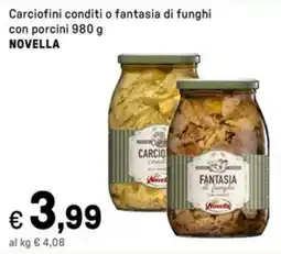 Iper La Grande Carciofini conditi o fantasia di funghi con porcini NOVELLA offerta