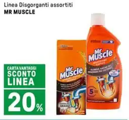 Iper La Grande Linea Disgorganti MR MUSCLE offerta