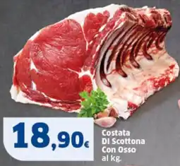 Sigma Costata DI Scottona Con Osso offerta