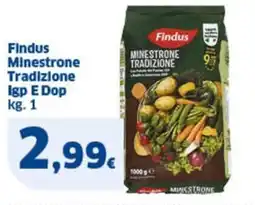 Sigma Findus Minestrone Tradizione Igp E Dop offerta