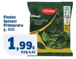 Sigma Findus Spinaci Primavera offerta