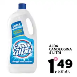 Extra Supermercati Alba candeggina offerta