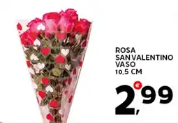 Extra Supermercati Rosa san valentino vaso 10.5 cm offerta