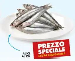 Extra Supermercati Alici offerta
