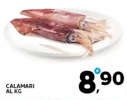 Extra Supermercati Calamari offerta
