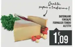 Euroesse Bayernland fontalpe formaggio tenero offerta