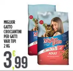 Euroesse Miglior gatto croccantini per gatti offerta