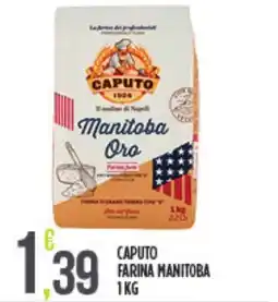 Euroesse Caputo farina manitoba offerta