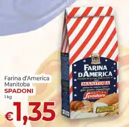 Supermercati Nonna Isa Farina d'America Manitoba SPADONI offerta