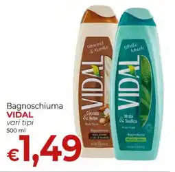 Supermercati Nonna Isa Bagnoschiuma VIDAL offerta