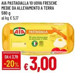 Galassia Aia pastagialla 10 uova fresche medie da allevamento a terra offerta
