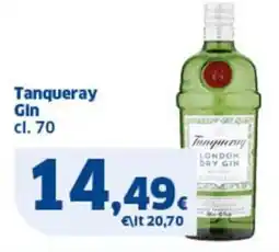 Sigma Tanqueray Gin offerta