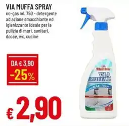 Galassia Via muffa spray offerta
