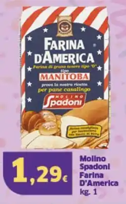 Sigma Molino Spadonl Farina D'America offerta