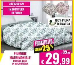 Satur Piumone matrimoniale double face in microfibra offerta