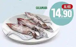 La Mimosa Supermercati Calamari offerta