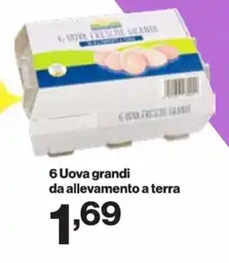 In'S Mercato 6 Uova grandi da allevamento a terra offerta