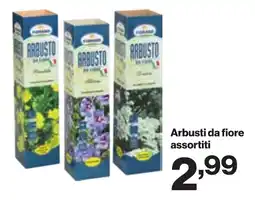 In'S Mercato Arbusti da fiore offerta