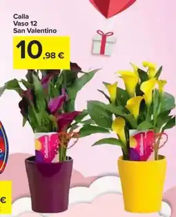 Carrefour Calla Vaso 12 San Valentino offerta