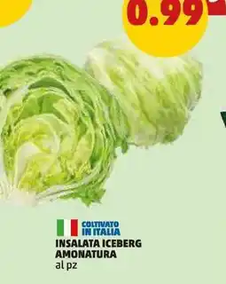 PENNY Insalata iceberg amonatura offerta