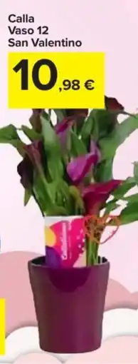 Carrefour Express Calla Vaso 12 San Valentino offerta