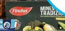 Sidis Minestrone tradizione FINDUS offerta