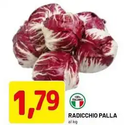 DPiù Radicchio palla offerta
