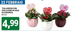 DPiù Kalandiva con pick cuore in vaso di ceramica offerta