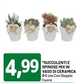 DPiù Succulentie spinose mix in vaso di ceramica offerta