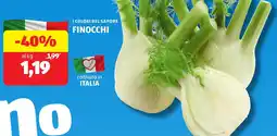 ALDI I colori del sapore finocchi offerta