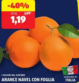 ALDI I colori del sapore arance navel con foglia offerta