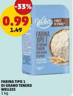 PENNY Farina tipo 1 di grano tenero WELLESS offerta