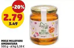 PENNY Miele millefiori AMONATURA offerta