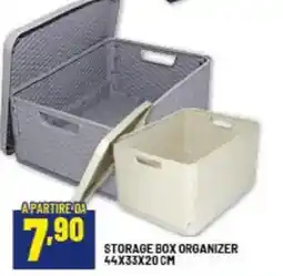 Risparmio Casa Storage box organizer offerta