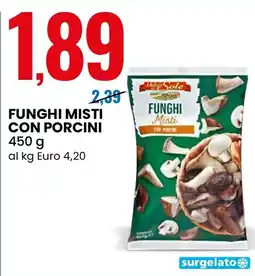 Eurospin Funghi misti con porcini Delizie del Sole offerta
