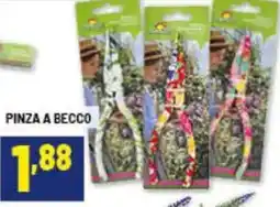 Risparmio Casa Pinza a becco offerta
