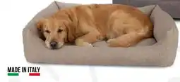 Eurospin Cuccia rettangolare grande offerta