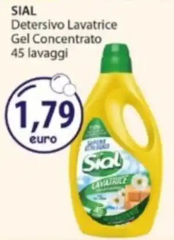 Acqua & Sapone SIAL Detersivo Lavatrice Gel Concentrato offerta