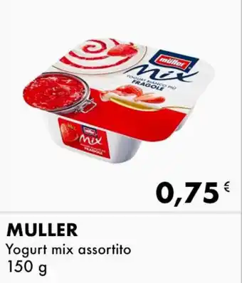 MULLER Yogurt mix