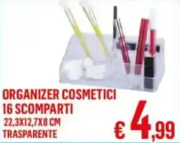 Satur Organizer cosmetici 16 scomparti 22,3x12,7x8 cm trasparente offerta