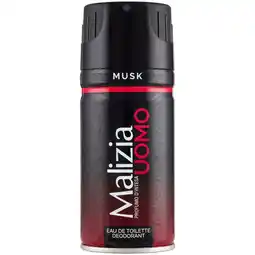 Spazio Conad DEODORANTE MALIZIA UOMO offerta