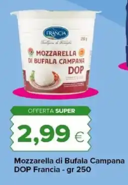 Tigre Amico Mozzarella di Bufala Campana DOP Francia offerta