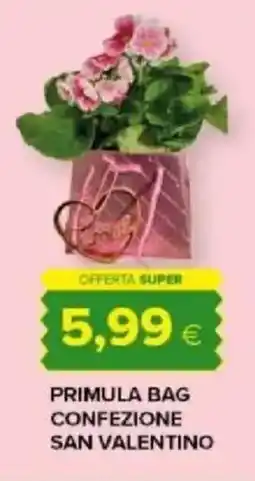 Tigre Amico Primula bag confezione san valentino offerta