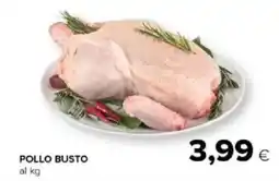 Tigre Amico Pollo busto offerta